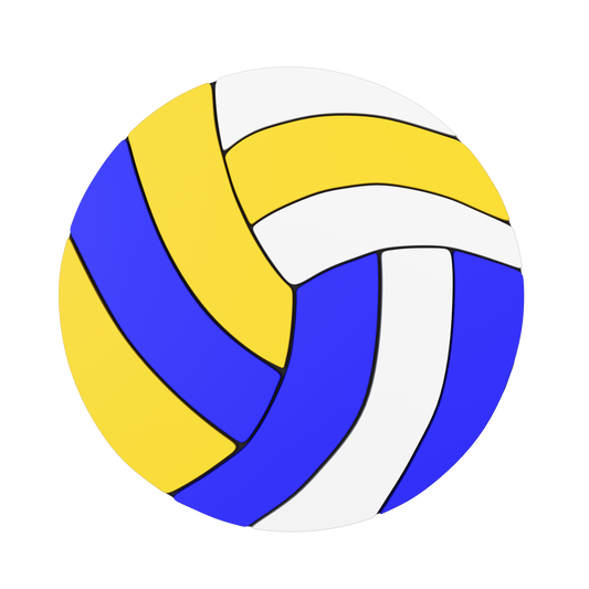 Budz | Volleyball image 1
